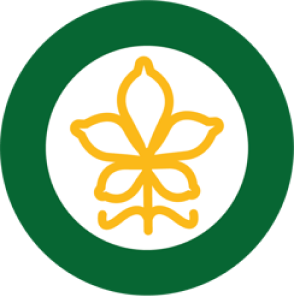 ST Sternstrasse Logo